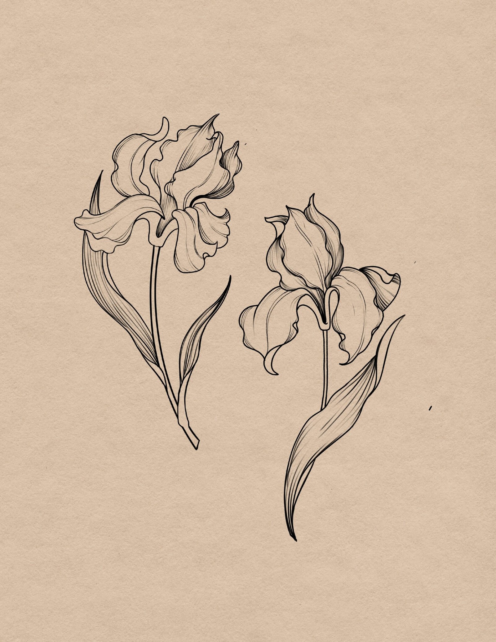 Iris Tattoo Flash