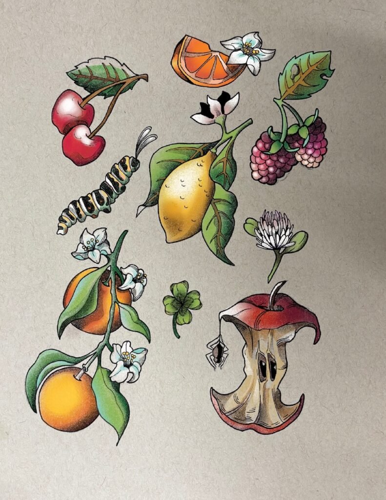 Food and fruit tattoo flash by Shannon Starvish at Wildwood Tattoos in Manchester CT. Illustrative delicate tattoos. 